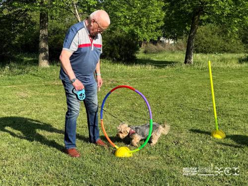 Majówka z pupilem