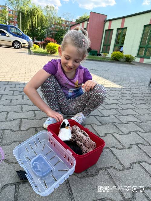 Majówka z pupilem